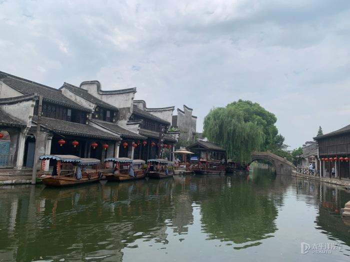 小猪仔拉稀吃什么药啊游戏画面